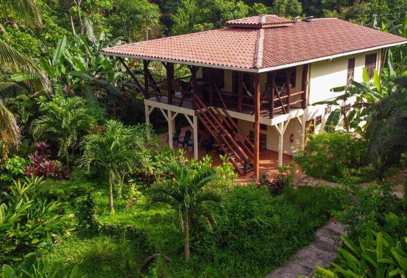 ویلای 1 خوابه, Bluff Beach Retreat