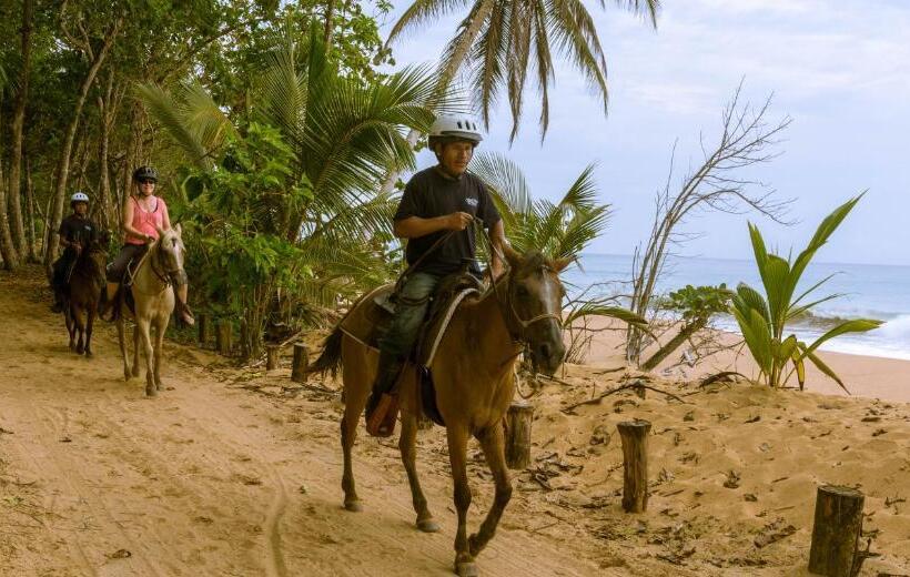 ویلای 1 خوابه, Bluff Beach Retreat