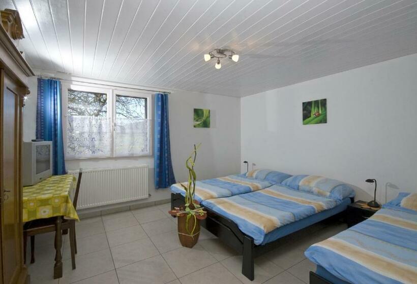 Номер Стандарт Трехместный, Hôtel Gîte Rural à 3 Km De Delémont