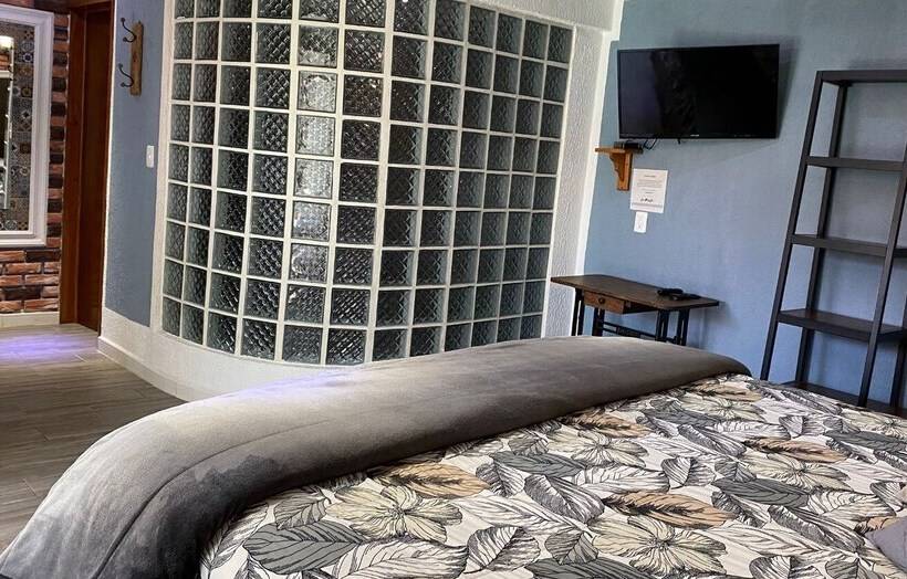 スタンダードルーム, La Ninfa