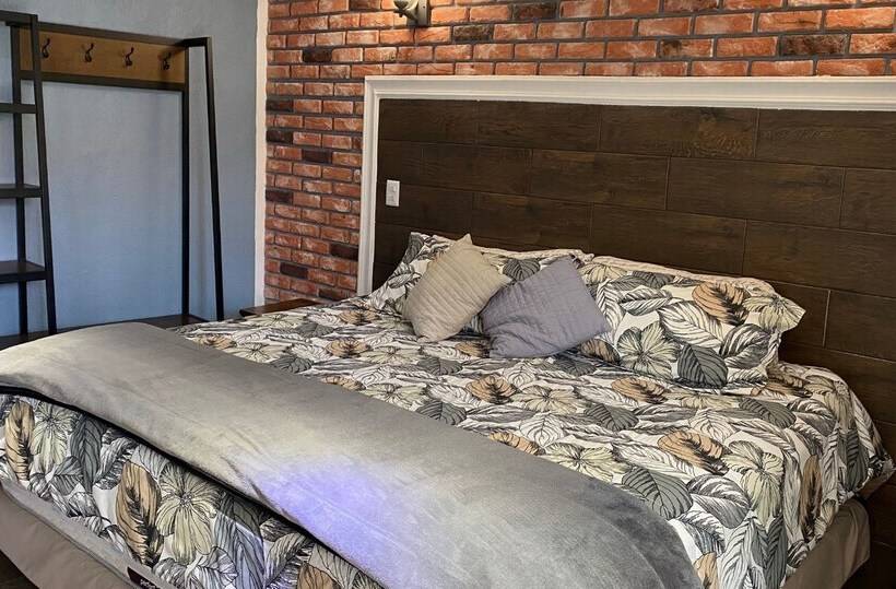 スタンダードルーム, La Ninfa