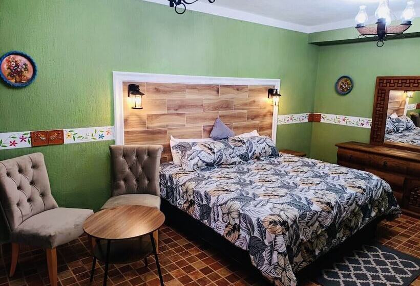 スタンダードルーム, La Ninfa