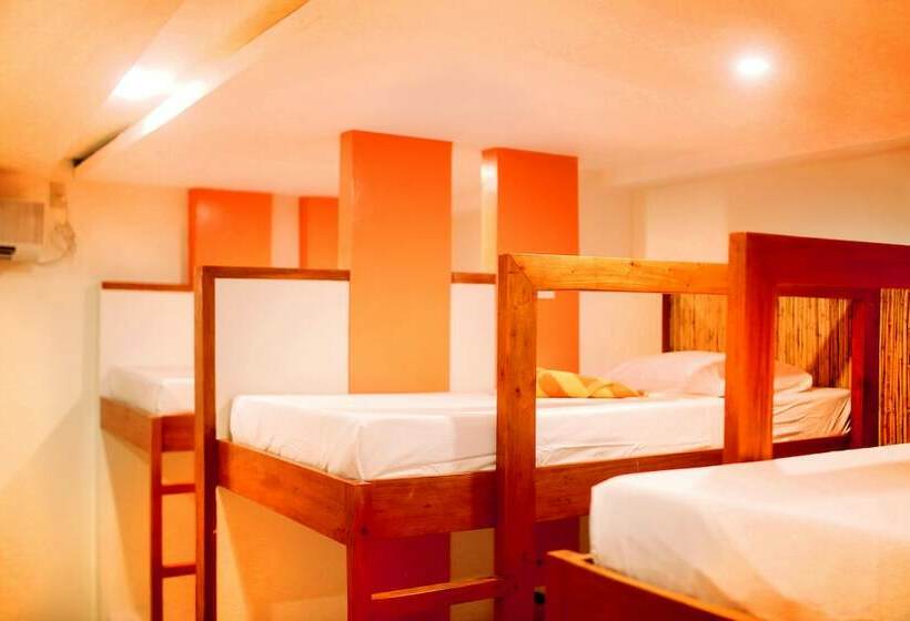 سرير فى غرفة مشتركه, Hostel Avenue