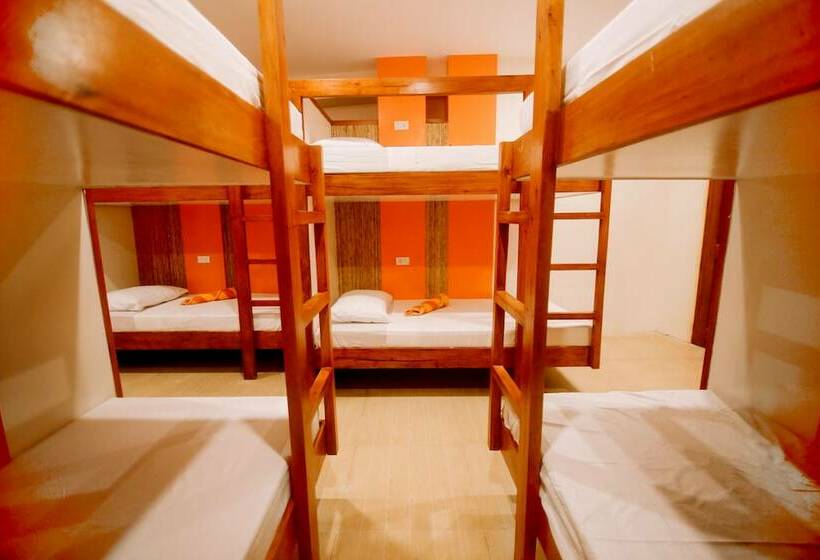 سرير فى غرفة مشتركه, Hostel Avenue