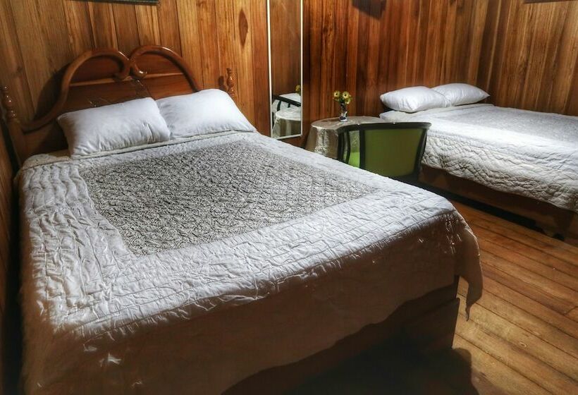 Апартаменты Basic 1 Спальня, Caribbean View