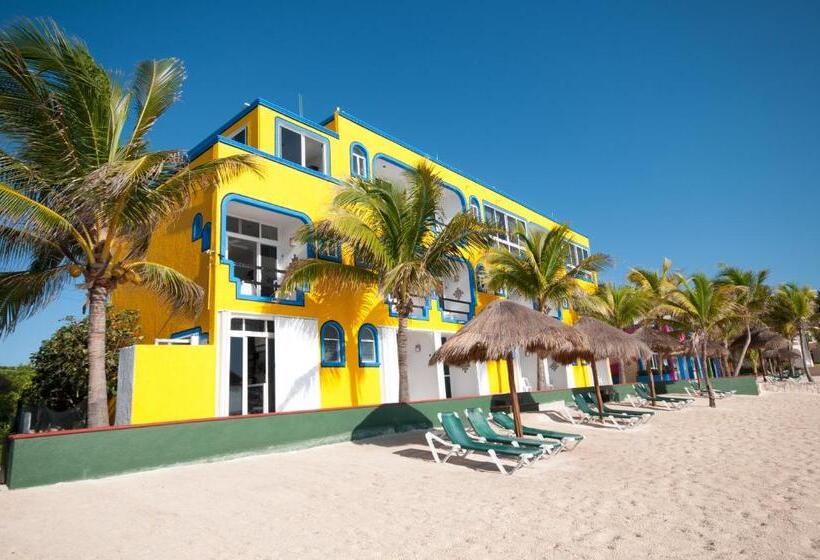 اتاق استاندارد با چشمانداز دریا, Del Sol Beachfront