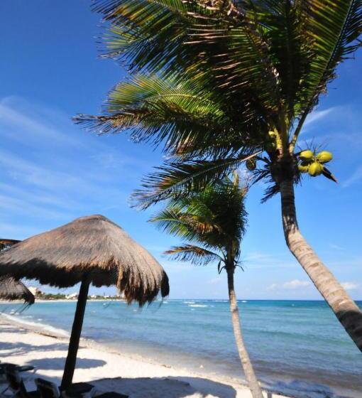 اتاق کلاسیک با چشمانداز دریا, Del Sol Beachfront