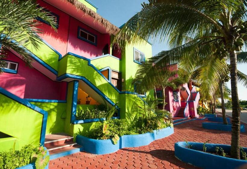 آپارتمان 1 خوابه, Del Sol Beachfront