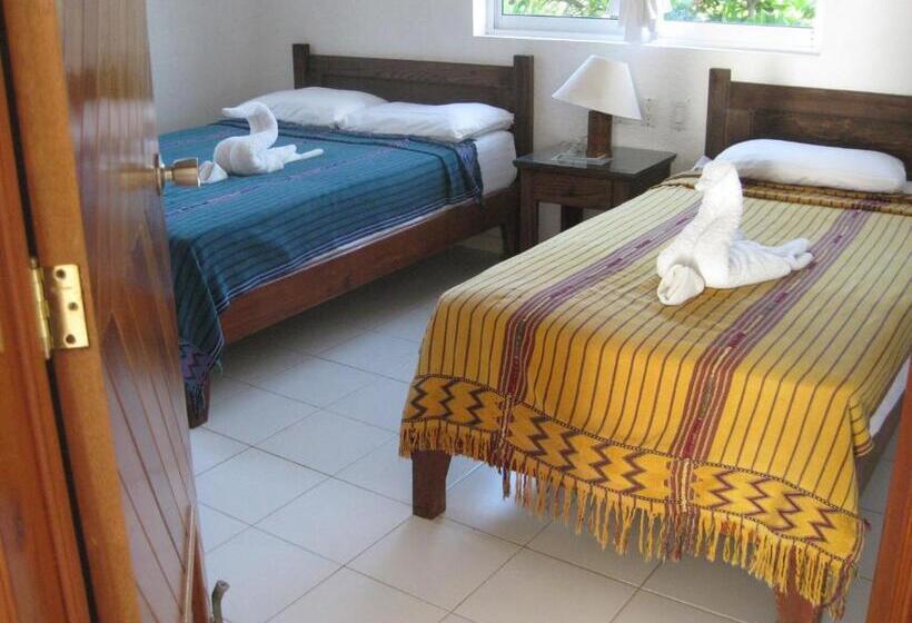 آپارتمان 1 خوابه, Del Sol Beachfront