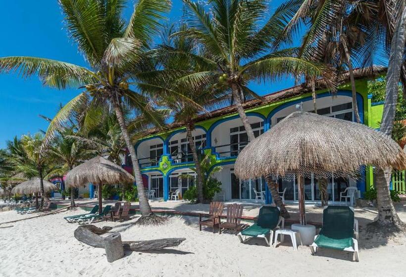 آپارتمان لوکس 1 خوابه, Del Sol Beachfront