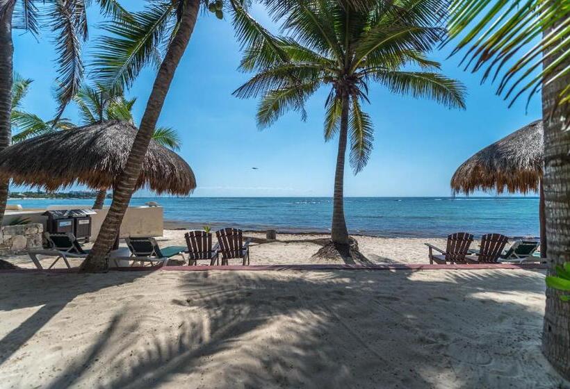 آپارتمان لوکس 1 خوابه, Del Sol Beachfront