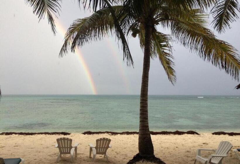 آپارتمان لوکس 1 خوابه, Del Sol Beachfront