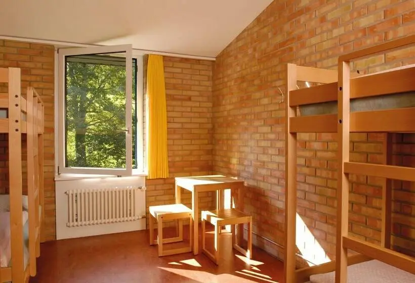 اتاق استاندارد چهارنفره با سرویس بهداشتی مشترک, St. Gallen Youth Hostel