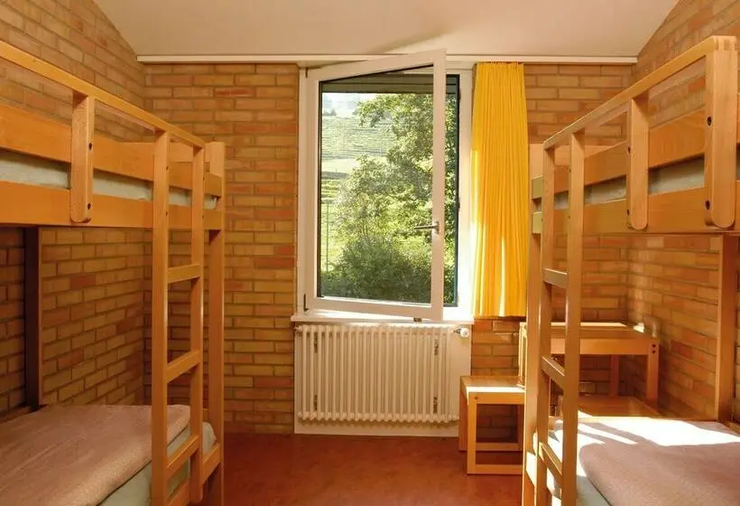 اتاق استاندارد با سرویس بهداشتی مشترک, St. Gallen Youth Hostel