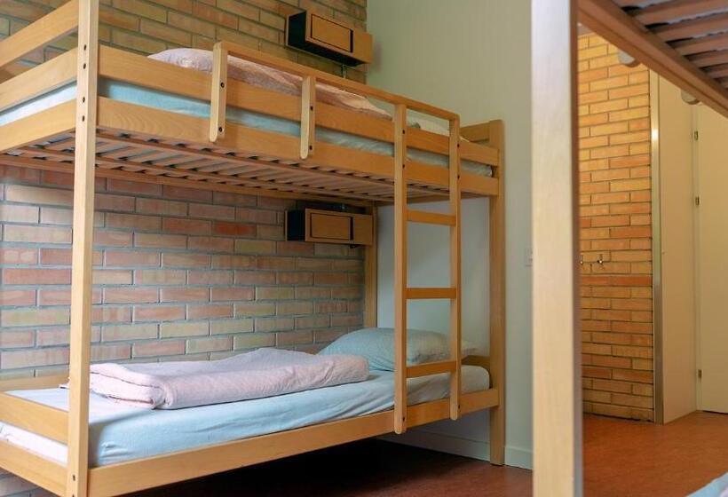 Номер Стандарт Четырехместный Совместный Санузел, St. Gallen Youth Hostel