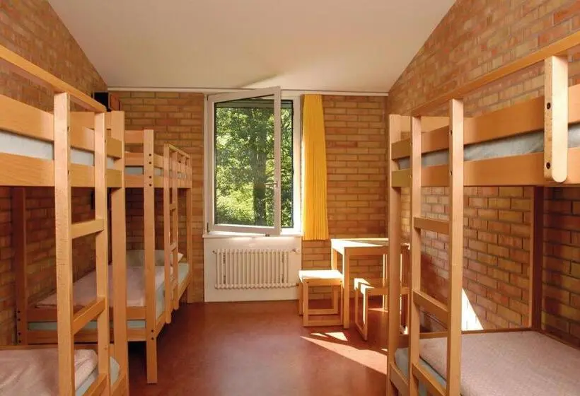 تختخواب در اتاق مشترک, St. Gallen Youth Hostel