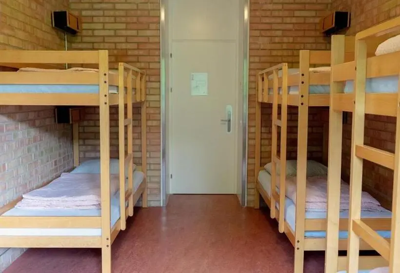 تختخواب در اتاق مشترک, St. Gallen Youth Hostel