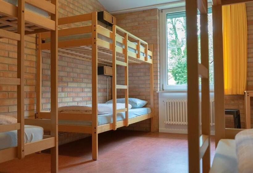 تختخواب در اتاق مشترک, St. Gallen Youth Hostel