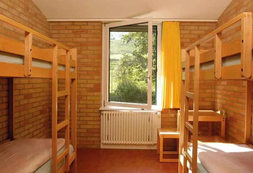 اتاق استاندارد چهار تخته, St. Gallen Youth Hostel