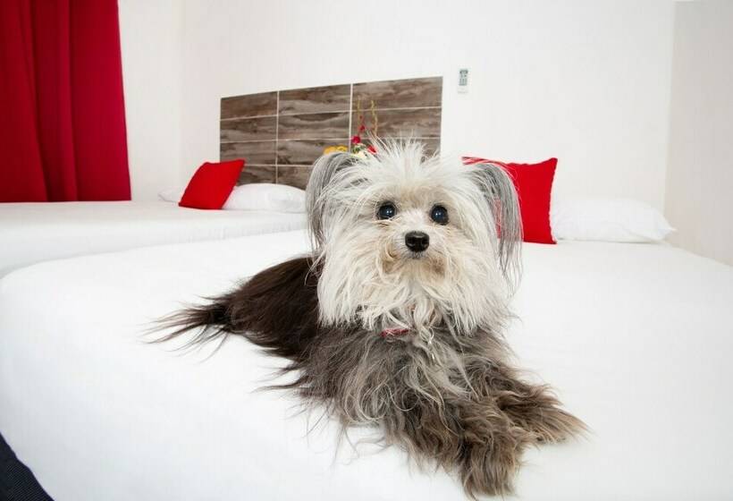 침실 1개 수피리어 아파트, Suite 24 Boutique By Xperience S