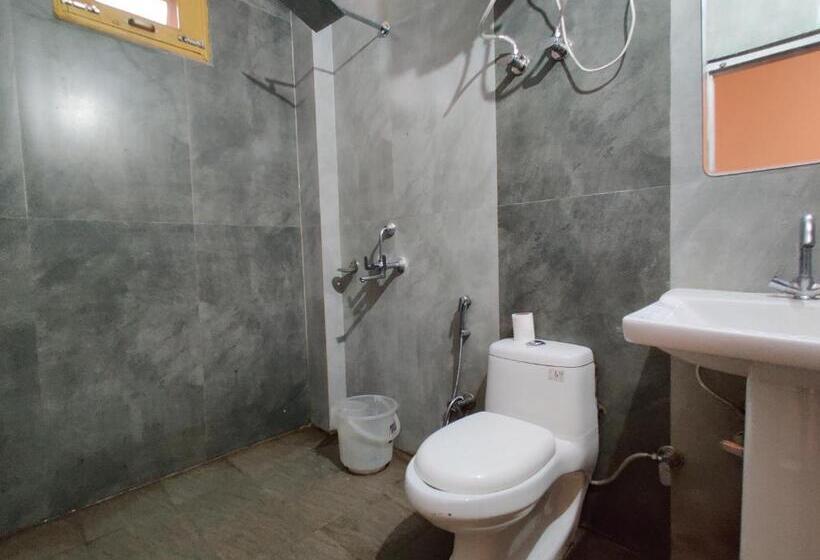 غرفة قياسية, House Of Lights