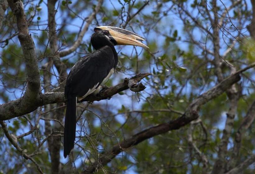 别墅: 1间卧室带游泳池, Hornbill Forest Habarana