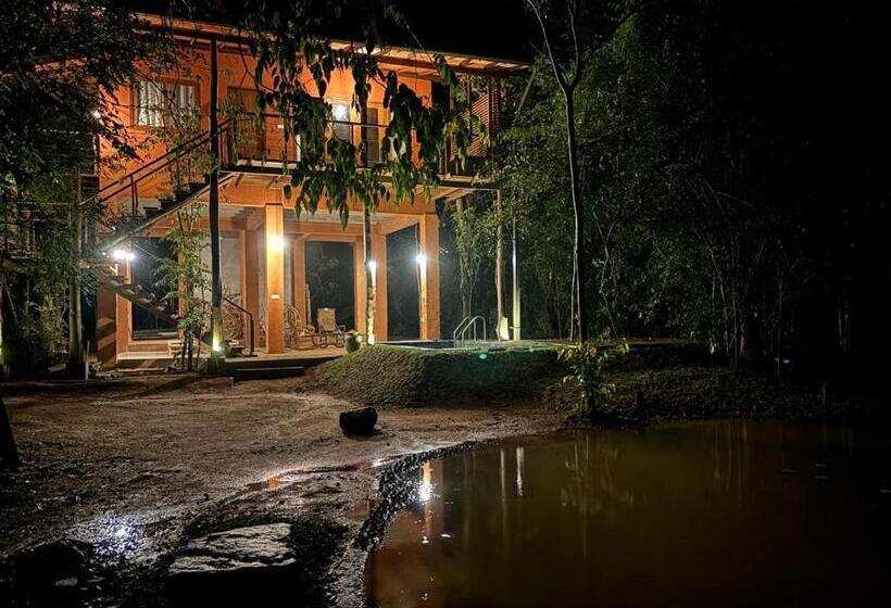 带泳池的标准三人间, Hornbill Forest Habarana