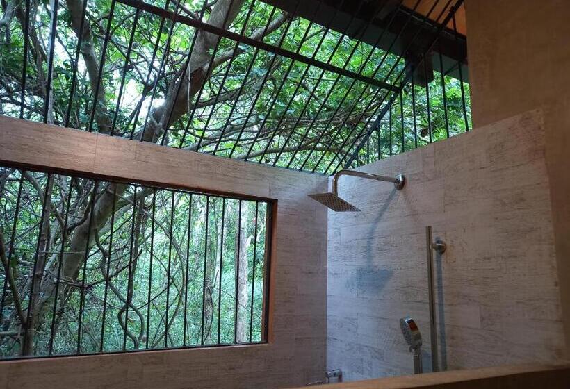 带泳池的标准三人间, Hornbill Forest Habarana