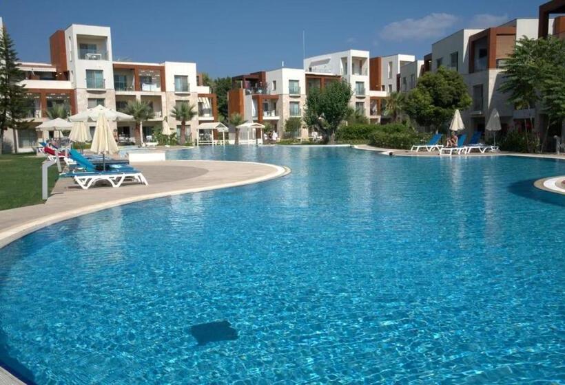 جناح سوبيريور مطل علي البحر, Sundance Suites