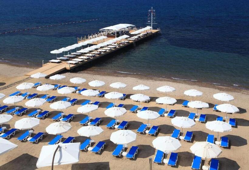 جناح مطلّ علي الحديقة, Sundance Suites