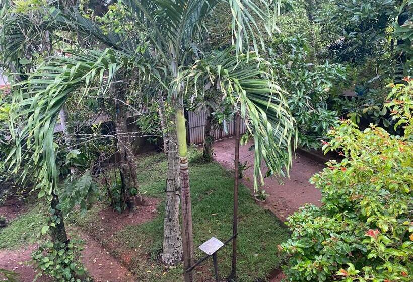 חדר דלוקס, Guesthouse Sunshine