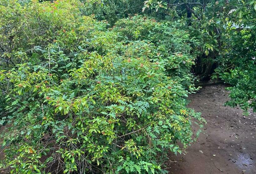 חדר דלוקס, Guesthouse Sunshine