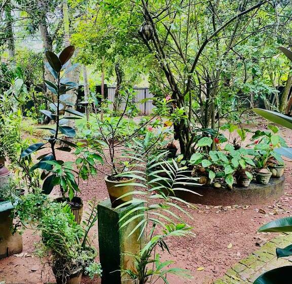 חדר דלוקס, Guesthouse Sunshine