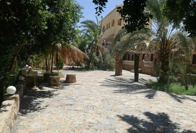 اتاق عادی, Ahmed Safari Camp &