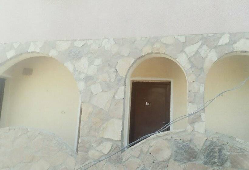 اتاق عادی, Ahmed Safari Camp &