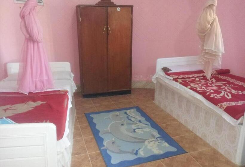 اتاق استاندارد, Ahmed Safari Camp &