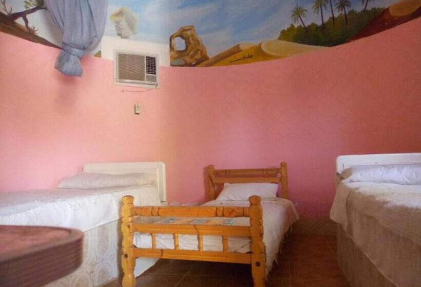 اتاق استاندارد, Ahmed Safari Camp &