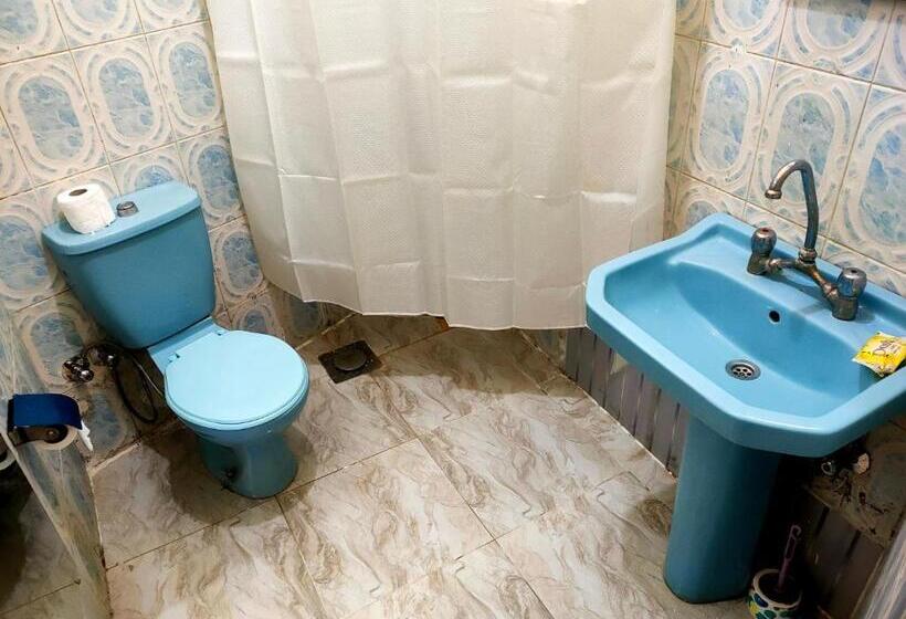 اتاق عادی, Ahmed Safari Camp &