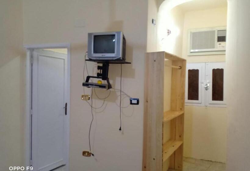 اتاق عادی, Ahmed Safari Camp &