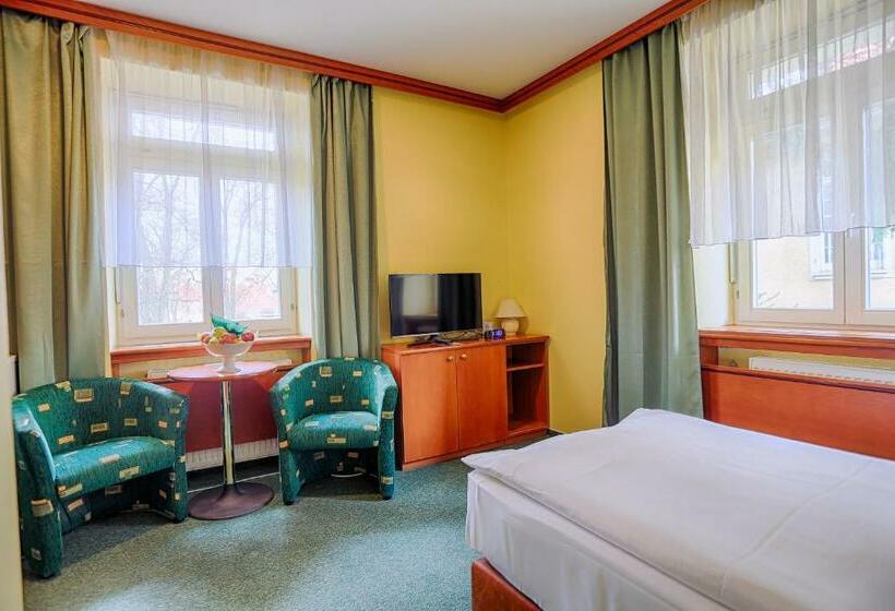 غرفة قياسية فردية, Ensana Vila Trajan