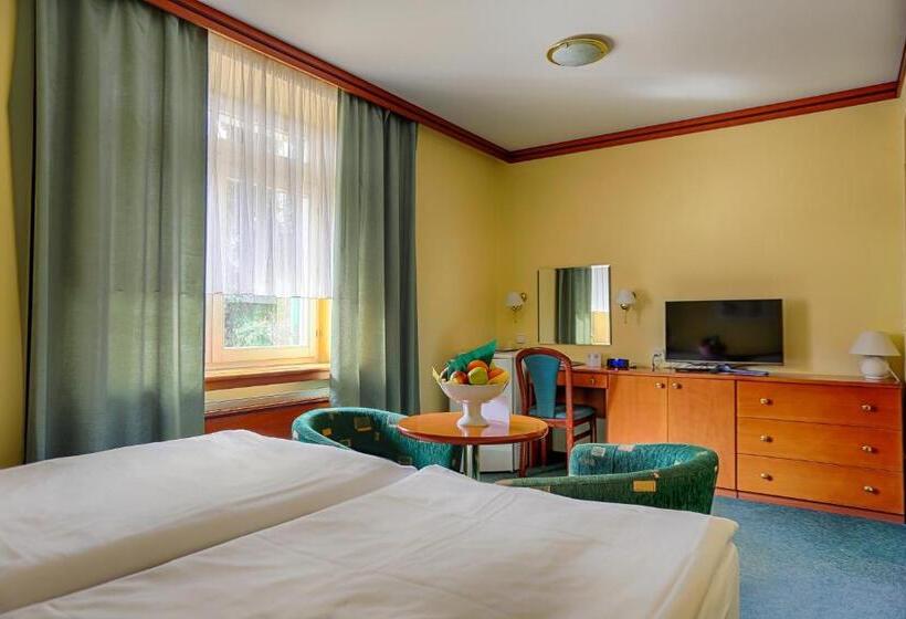 غرفة قياسية, Ensana Vila Trajan