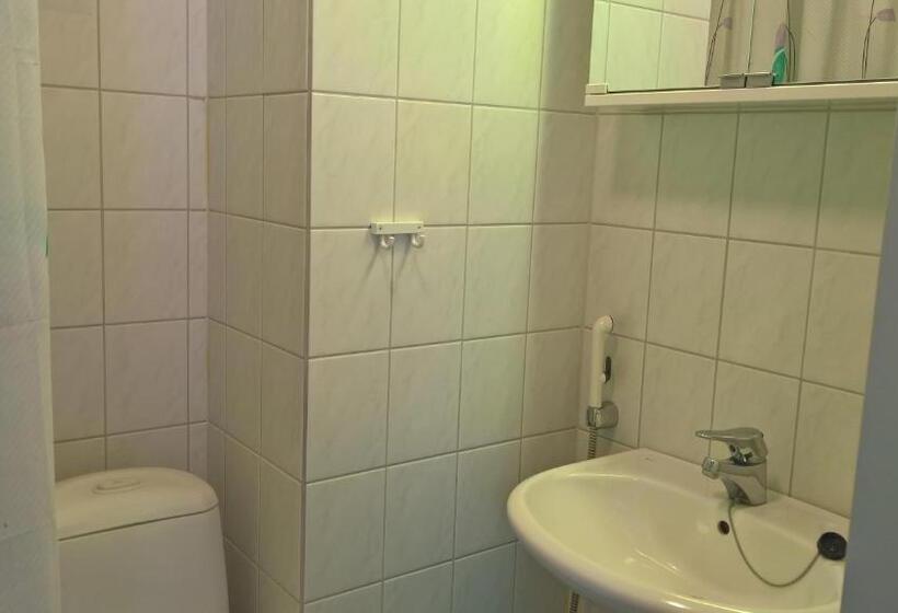 이코노미 싱글 룸, Huoneistohotelli Domusvirrat