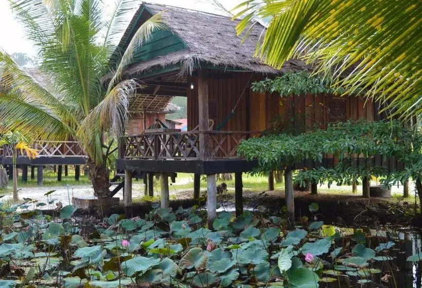 家族用バンガロー, Palm Beach Bungalow Resort