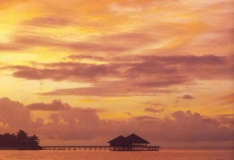 Бунгало Стандарт, Palm Beach Bungalow Resort