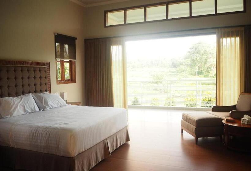 带大床的复式套间, The Gecho Inn Country