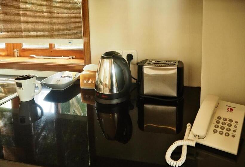 带大床的复式套间, The Gecho Inn Country