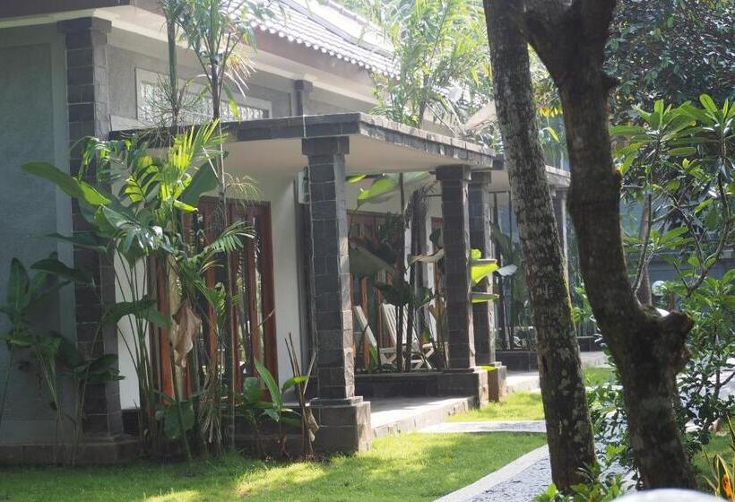 Номер Executive, The Gecho Inn Country