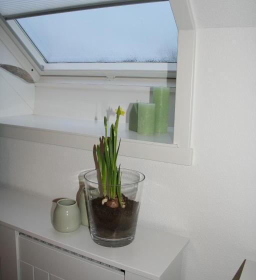 غرفة ديلوكس, Thorn B&b