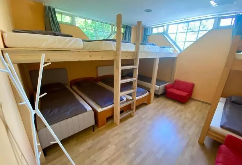 Familienzimmer Geteiltes Bad, Dokk Agárd