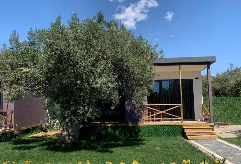 Семейный Номер, Gargaron Beach